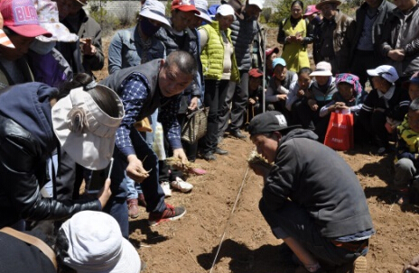 香格里拉市总工会到尼西乡扶贫挂钩点进行中药材种植培训